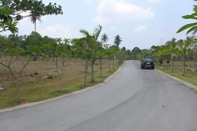 Land for sale Bangsaray showing the plots available Land for sale Bangsaray showing the plots available