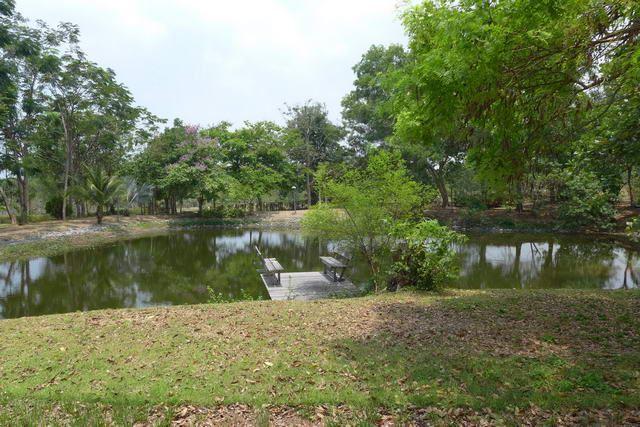 Land for sale Bangsaray showing the landscaping Land for sale Bangsaray showing the landscaping