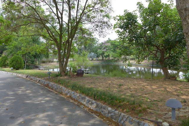 Land for sale Bangsaray Land for sale Bangsaray